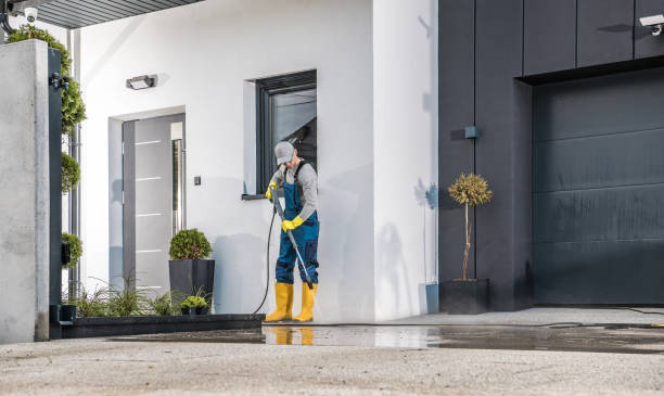 Best Driveway Cleaning and Restoration in Gananda, NY